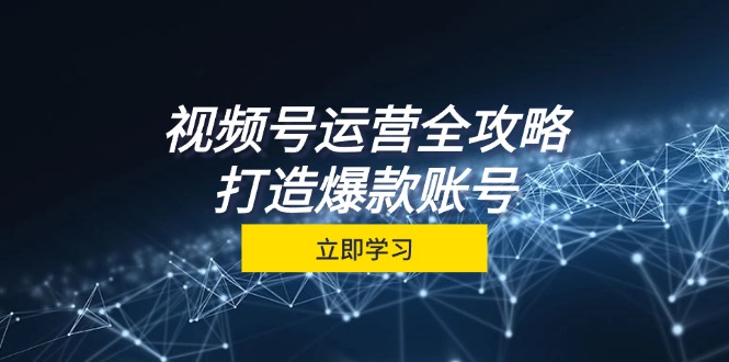 （12912期）视频号运营全攻略，从定位到成交一站式学习，视频号核心秘诀，打造爆款…-副业网