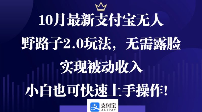 （12824期）10月最新支付宝无人野路子2.0玩法，无需露脸，实现被动收入，小白也可…-副业网