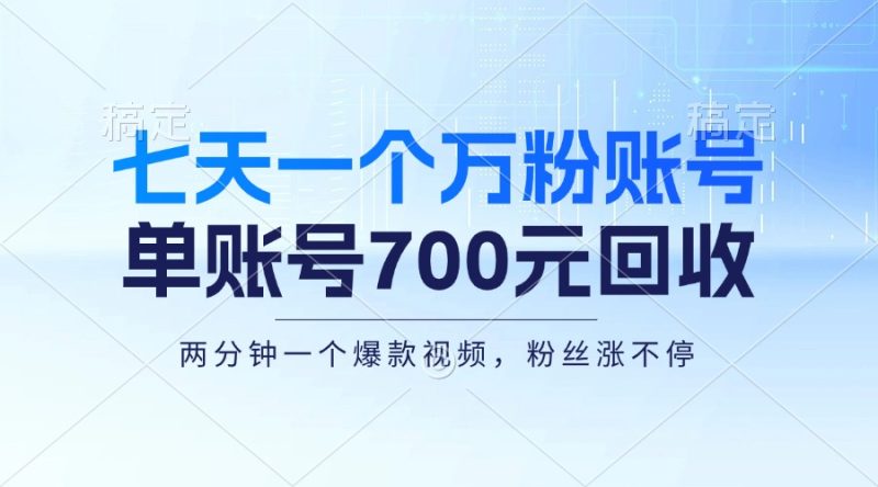 （13062期）七天一个万粉账号，新手小白秒上手，单账号回收700元，轻松月入三万＋-副业网