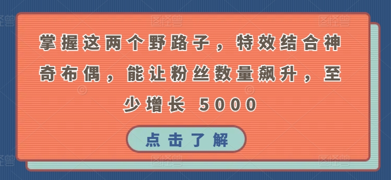 掌握这两个野路子，特效结合神奇布偶，能让粉丝数量飙升，至少增长 5000-副业网