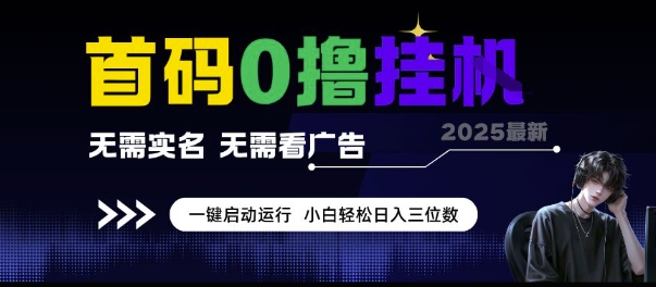 首码0撸挂G项目，无需实名无需看广告 一键启动运行，小白轻松日入三位数【揭秘】-副业网
