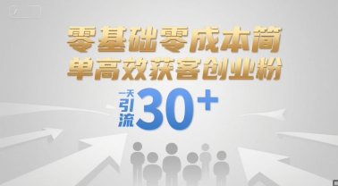 零基础零成本简单高效获客创业粉，一天引流30+-副业网
