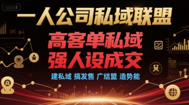 一人公司私域联盟，高客单私域，强人设成交，建私域 搞发售 广结盟 造势能-副业网