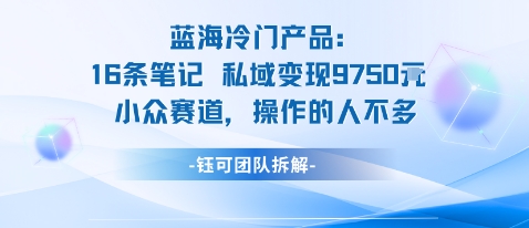 蓝海项目：16条笔记私域变现9750米小众赛道操作的人不多-副业网