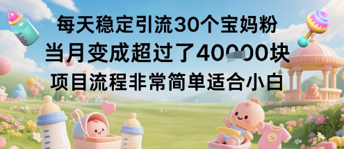 每天稳定引流30个宝妈粉当月变成超过了1W+项目流程非常简单适合小白-副业网