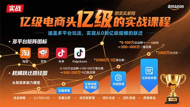 亿级电商头部卖家的实战课程：涵盖多平台玩法，实现从0到亿级规模的跃迁-副业网
