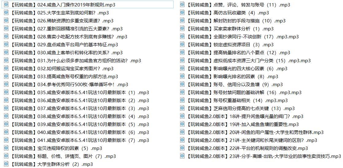玩转闲鱼挣钱基础入门41讲-副业网