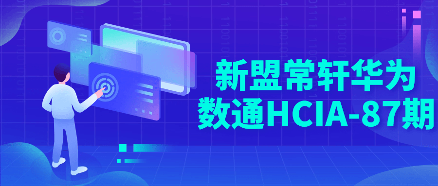 新盟常轩华为数通HCIA-87期-副业网