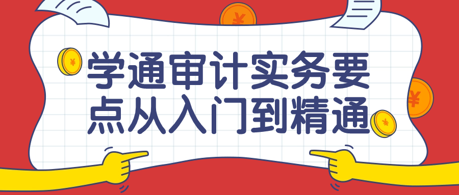 学通审计实务要点从入门到精通课-副业网