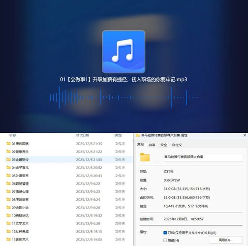 喜马拉雅付费音频课大合集 13个大类-副业网