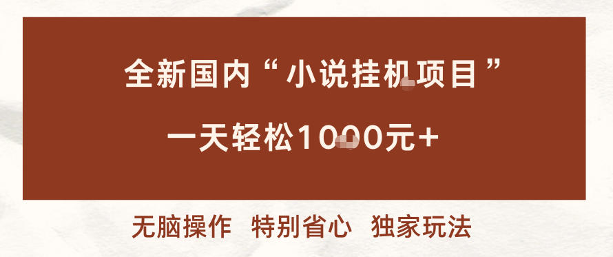 全新国内小说挂G项目，多窗口无脑跑，一天轻松1k+，特别省心【揭秘】-副业网