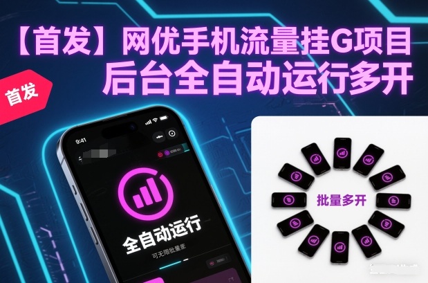 【首发】网优手机流量挂G项目，后台全自动运行，可无限批量多开【揭秘】-副业网