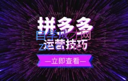 力辛电商·拼多多强付费店群玩法-副业网