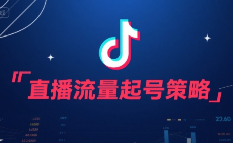 尼采老师·直播流量起号实战课-副业网
