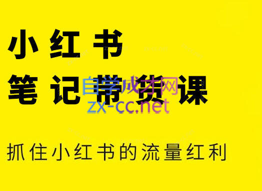 张宾·小红书笔记带货课(更新6月)-副业网
