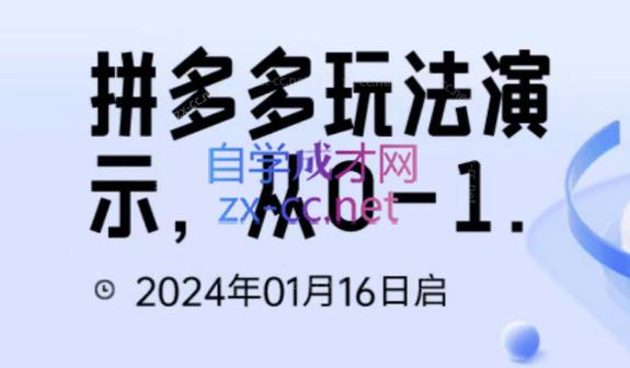 吴老师·拼多多从选品到截流到付费的玩法技巧-副业网
