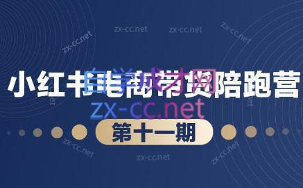 盗坤·小红书电商带货陪跑营(第十一期)-副业网