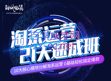淘系运营21天速成班(更新7月)-副业网