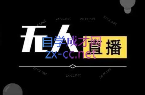 宝子哥·无人直播-非实时防风技术(更新6月)-副业网