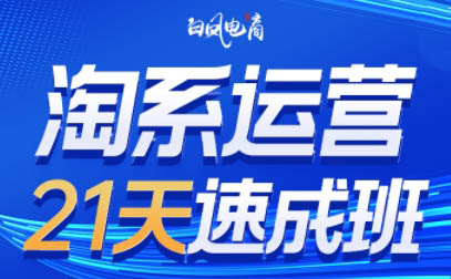 白凤电商·淘系运营21天速成班(更新3月)-副业网