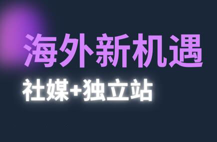 棕榈·2025出海新机遇(社媒+独立站)-副业网