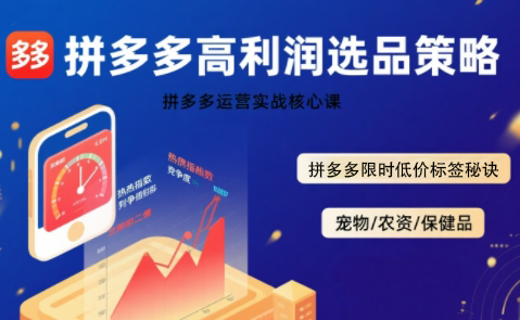 久号老师·拼多多选品暴利技术实战课-副业网
