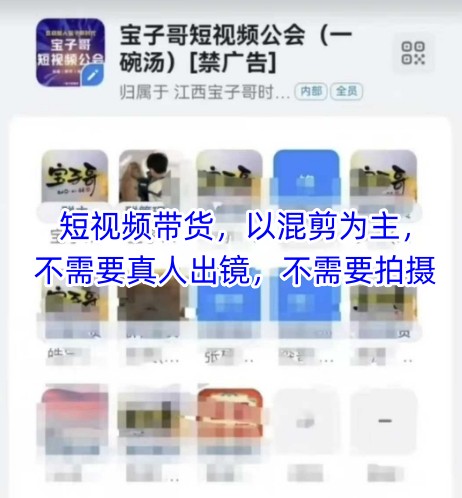宝子哥头部团队短视频带货，以混剪为主，不需要真人出镜，不需要拍摄【更新26年3月】-副业网
