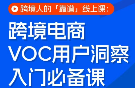 跨境电商VOC用户洞察入门必备课-副业网