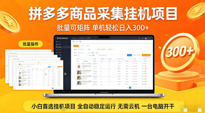 拼多多商品信息全自动采集项目，批量可矩阵，单机轻松日入300+，无需云机一台电脑开干【揭秘】-副业网