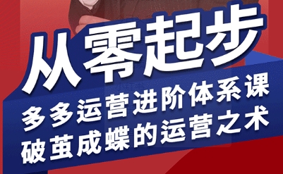 拼多多运营进阶系统课，从零起步，多多运营进阶体系课，破茧成蝶的运营之术(更新26年4月)-副业网