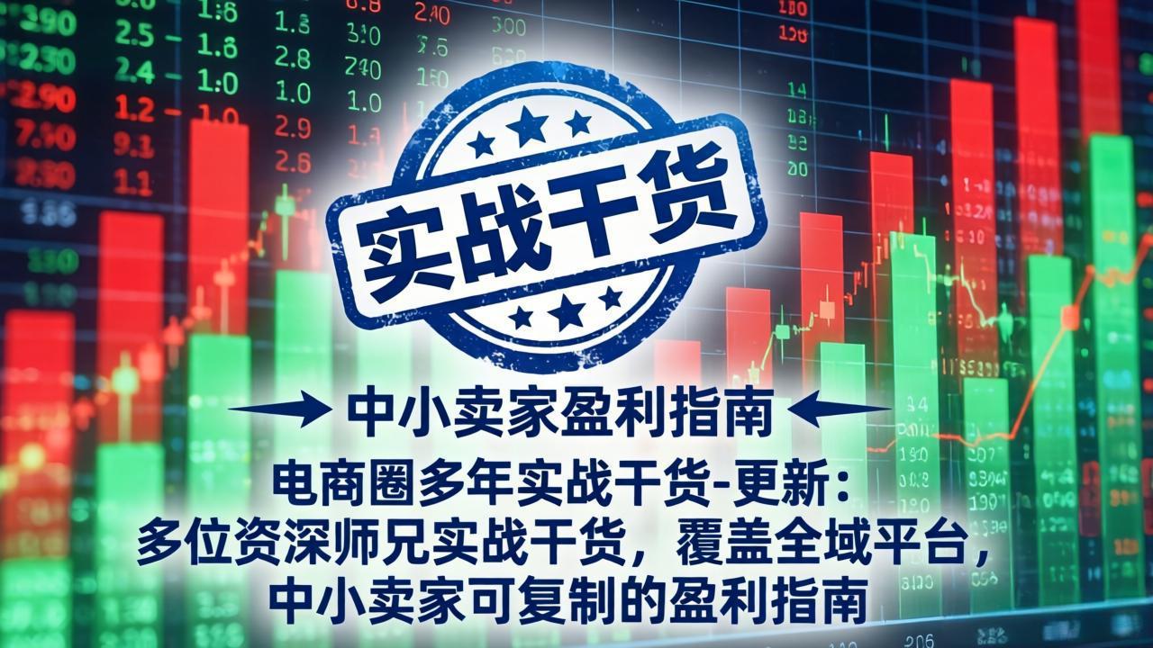 电商圈多年实战干货-更新5月10：多位资深师兄实战干货/覆盖全域平台，中小卖家可复制的盈利指南-副业网